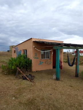 El colibrí Cabo polonio Uruguay